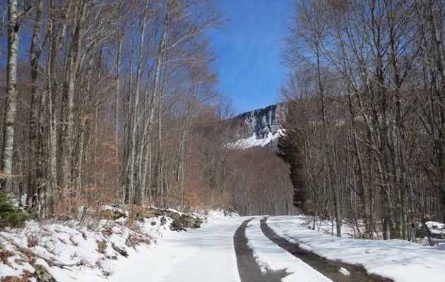 La montagne, avril 2016 Vercors
