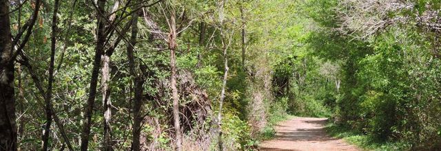 le lac de Saint-Christoly (33)