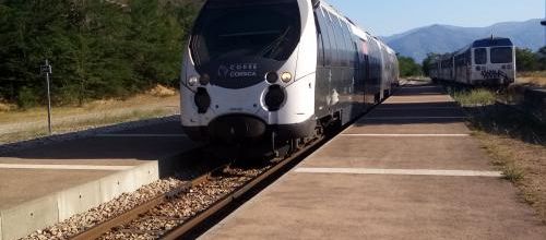 Ils sont là !