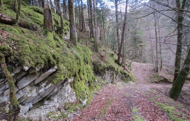 La montagne, Février, avril 2016 : Parc de la Chartreuse
