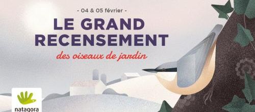 Recensement des oiseaux