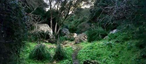 balade dans les grottes