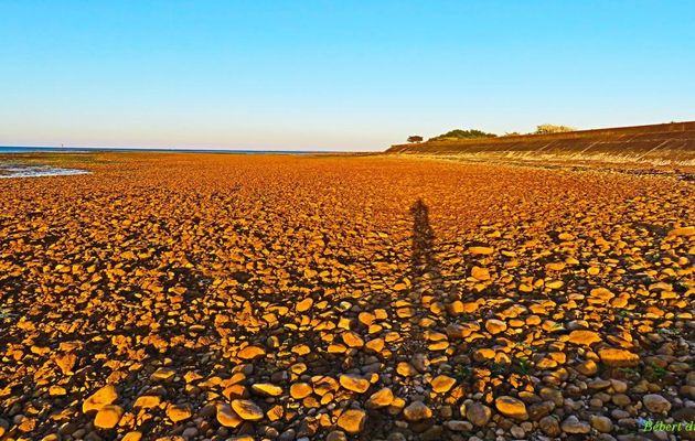 balades dans l'Ile de Ré - 3
