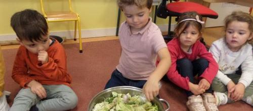 Activité culinaire : la soupe