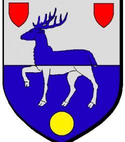 Domvast