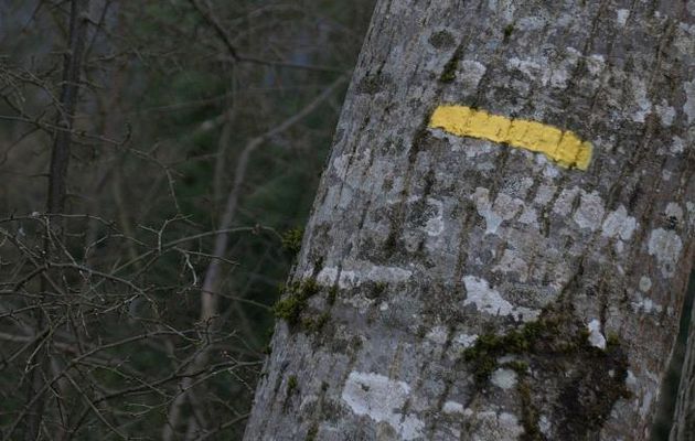 La Marque Jaune (1ère partie)