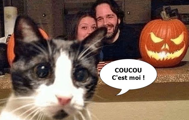 L'intrus habituel....