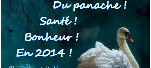 Voeux de douceur 2014