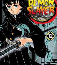 Download PDF Demon Slayer: Kimetsu no Yaiba, Vol. 12