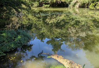 Défi reflets N°3 / 2025
