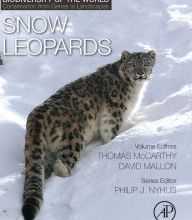 Google epub free ebooks download Snow Leopards: Biodiversity of the World: Conservation from Genes to Landscapes by Philip J. Nyhus 9780128022139 PDB English version