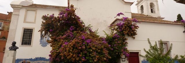 Lisbonne (13/32) : Miradouro de Santa Luzia