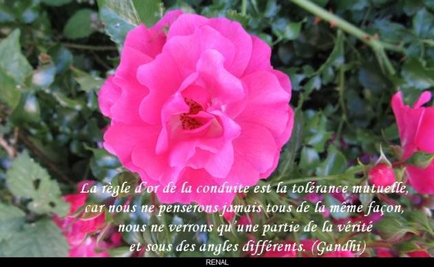 La tolérance...
