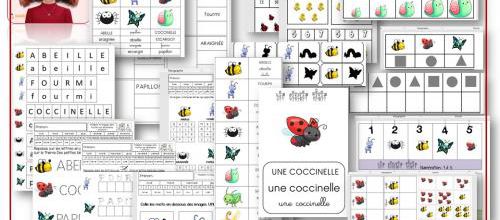 les petites bêtes du jardin