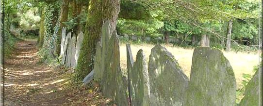 1079 - La pierre debout, dans le Finistère Sud (29S)