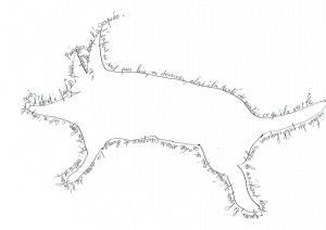 Ceci n'est pas un marcassin.