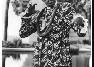 SCREAMIN' JAY HAWKINS