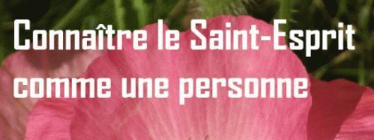 L'Esprit Saint est une personne. - Bruno
