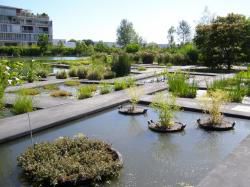 CR / MARCHE DOUCE / JARDIN BOTANIQUE BX