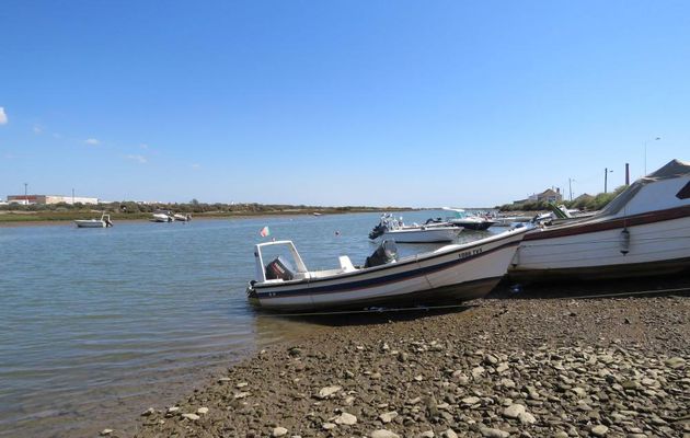 Tavira au Portugal -1/4