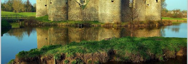 85 . Vendée - Commequiers (1) - Château