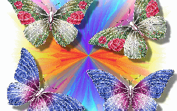 Papillons de lumière