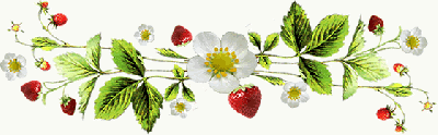 LA FRAISE DE PLOUGASTEL