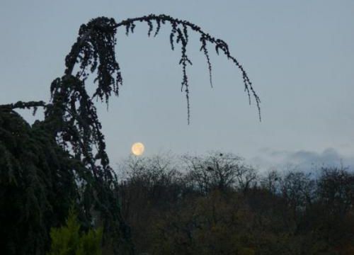 La mélatonine, hormone du sommeil. (1)