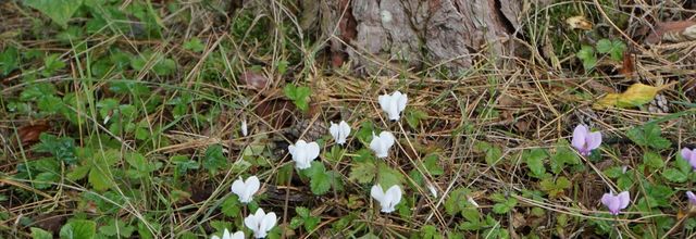 c'est la fin de l'été