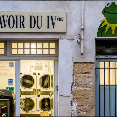 Chez Kermit !