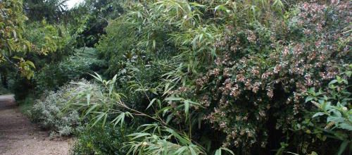Un petit tour au jardin