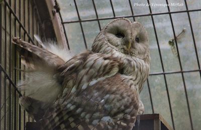 La photo du weekend : Chouette c'est le weekend !