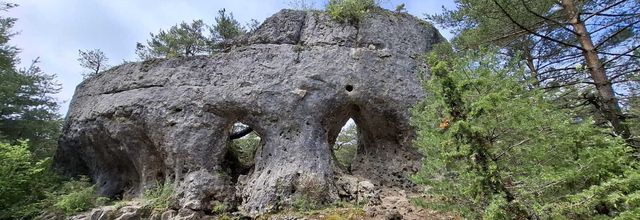 Randonnée dans les Canoles, Causse du Larzac