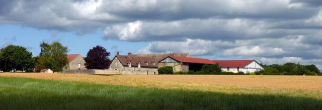 Le Beauce de Pocancy (2/3)