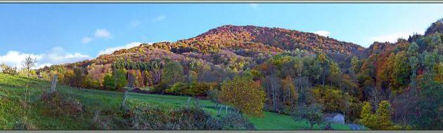 Le Picon : couleurs d'automne entre Lartigau et Milhas - 31