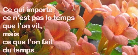 Ce qui importe