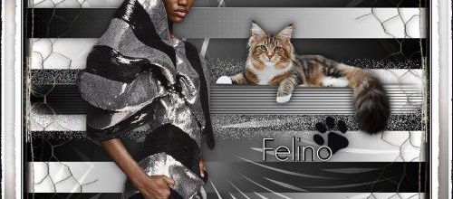 Felino