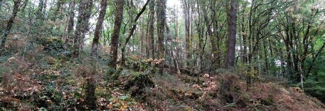 Les vieux métiers de Keroguic en Baud Morbihan (2)