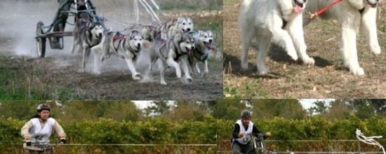 article mazeray 2009