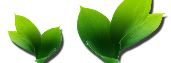 ѼVegetation