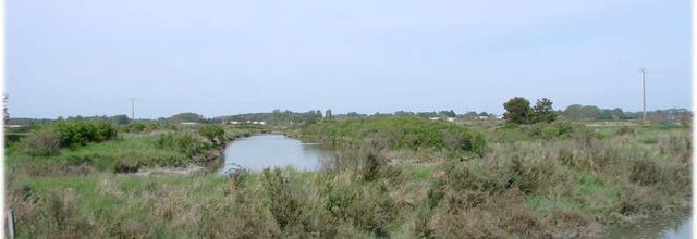 Marais salants - St Hilaire de Riez - Vendée