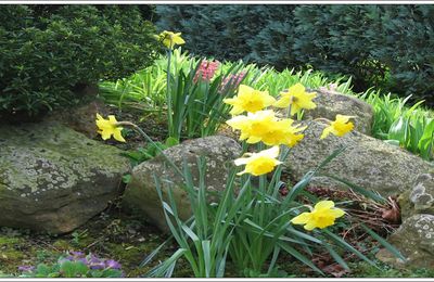 Demain c'est le printemps.... yes