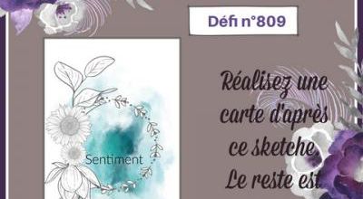 Passion Cartes Créatives#809