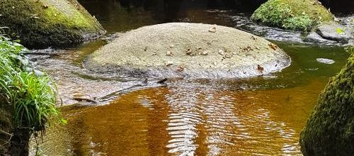 Quand le chaos est à Huelgoat : La rivière