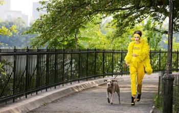 mode fashion walking park dog