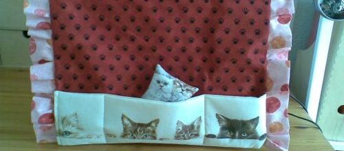 Housse de MAC...
