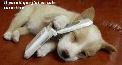 Avoir un caractère de chien