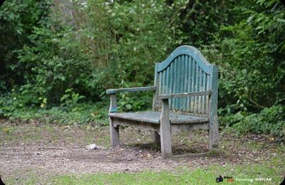 La photo du week-end : "A m'asseoir sur un banc cinq minutes avec toi"