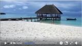 Notre petit paradis pour quelques jours - Moofushi - Atoll d'Ari - Maldives