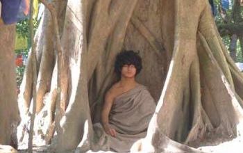 La réapparition de Little Buddha... pour quand ?